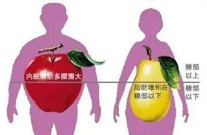 肥胖撞上糖尿病，体重成为生命不能承托之重
