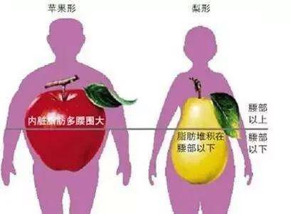 肥胖撞上糖尿病,体重成为生命不能承托之重(图1) 肥胖撞上糖尿病,体重成为生命不能承托之重(图1)