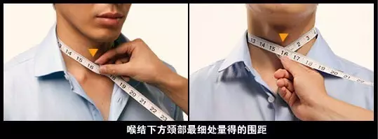 研究发现脖子粗的人心血管疾病风险高!(图2) 研究发现脖子粗的人心血管疾病风险高!(图2)