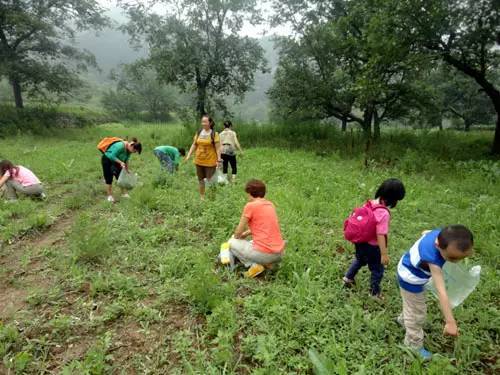 什么样的野菜能吃?什么野菜有毒?(图15) 什么样的野菜能吃?什么野菜有毒?(图15)