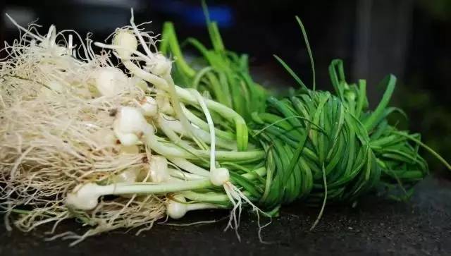 什么样的野菜能吃?什么野菜有毒?(图8) 什么样的野菜能吃?什么野菜有毒?(图8)