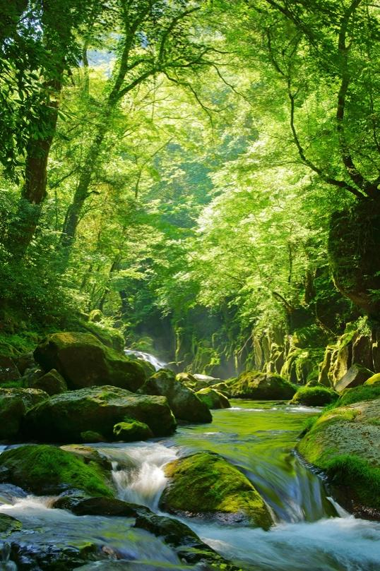 仙妮蕾德x去哪儿旅行，只此一秋「仙」行出发(图4)